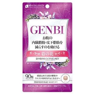 ボーテサンテラボラトリーズ GENBI げんび 90粒