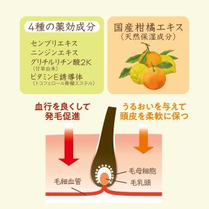 柳屋 薬用柑橘EX 育毛エッセンス 180mL...の詳細画像5