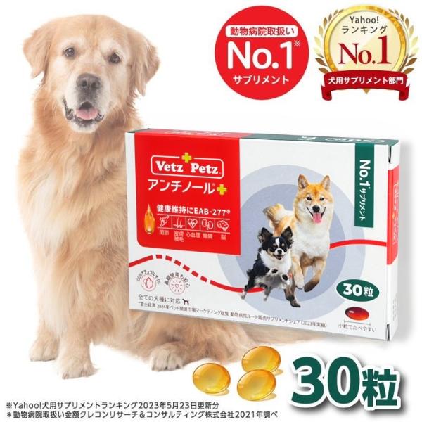 アンチノール プラス 犬用サプリメント 30粒