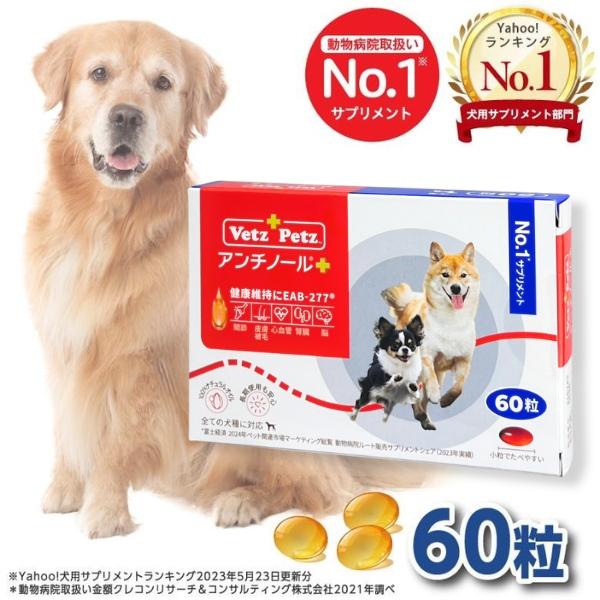 アンチノール プラス 犬用サプリメント 60粒