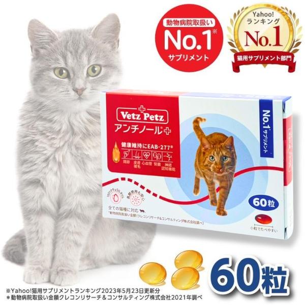 アンチノール プラス 猫用サプリメント 60粒