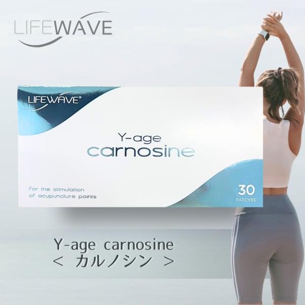 ライフウェーブ Yエイジ カルノシン carnosine パッチシール 30枚 説明書付き