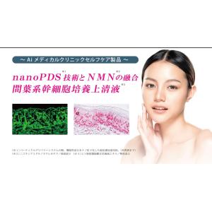 NMN フェイスマスク 4枚セット(美容液25ml)の詳細画像2