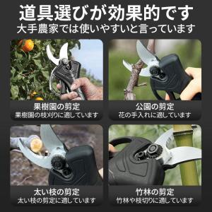 剪定ばさみ 電動 剪定バサミ 剪定鋏 電動はさ...の詳細画像3