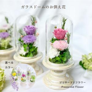 プリザーブドフラワー 仏花 お供え花 コンパクト 和菊 初七日 四十九日 法要 新盆 法事 初盆 お彼岸 法事 お悔やみ 仏壇 ガラスドーム