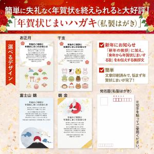 [ハガキ製作所] 年賀状じまいハガキ 20枚 ...の詳細画像1