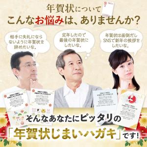 [ハガキ製作所] 年賀状じまいハガキ 20枚 ...の詳細画像3