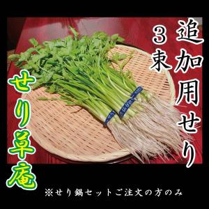 追加用【仙台せり3束セット】