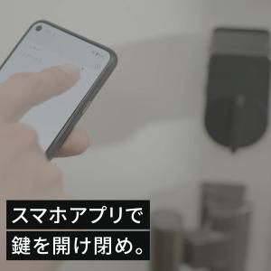 【公式ストア】セサミ5プロ SESAME5Pr...の詳細画像5