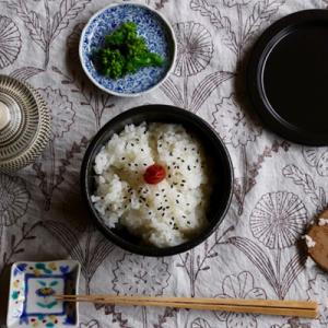 おひつ 一膳 万古焼 直火 シンプル ばんこ焼 TOJIKI TONYA