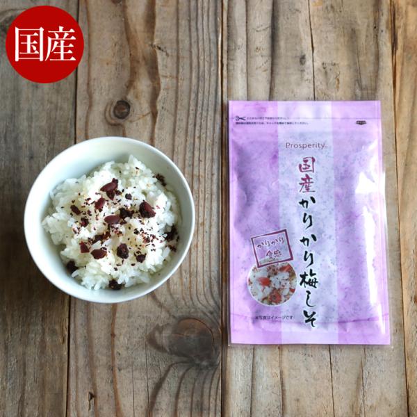 ふりかけ 国産 かりかり梅 しそ 梅 無添加 国産 カリカリ梅 おにぎり用 刻み 混ぜご飯まぜご飯の...