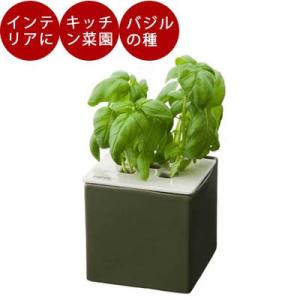 水耕栽培 心知菜園  (グリーン：バジルの種付き)  水耕栽培キット 野菜 花 イチゴ 液体 肥料 ...