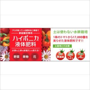 肥料 ハイポニカ液体肥料 4000ml (A液...の詳細画像2