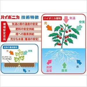 液肥 ハイポニカ液体肥料 500ml (A液・...の詳細画像2