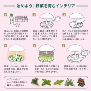 Led付き 水耕栽培 キット Akarina01 灯菜 水耕栽培 アカリーナ キット 型番 Oma01 水耕栽培器 インテリア 栽培キット 簡単 手軽 おしゃれ ギフト プレゼント Hp Tokilaboトキラボヤフー店