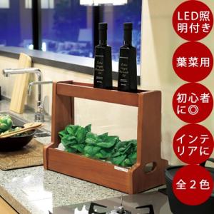 水耕栽培 Akarina06 /灯菜/アカリーナ （ホワイトのみ即日発送！営業日13時迄） LED ...