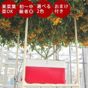 水耕栽培 ホームハイポニカ Sarah+ サラプラス 水耕栽培キット 野菜 花 イチゴ 液体 肥料 ...