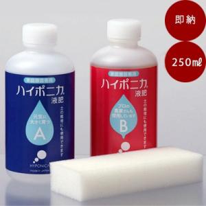 水耕栽培 ハイポニカ液体肥料 250mlセット （A液・B液/各250ml) ＋ 培地60個セット ...