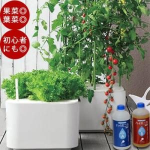 水耕栽培 ホームハイポニカ Masuco マスコ 水耕栽培キット 野菜 花 イチゴ肥料 スポンジ トマト Tokilabo Paypayモール店 通販 Paypayモール