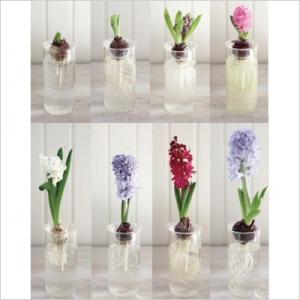 水栽培 BULB VASE バルブベース ショ...の詳細画像5