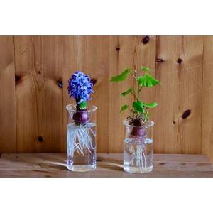 水栽培 BULB VASE バルブベース ロン...の詳細画像3