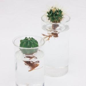 水栽培 BULB VASE バルブベース ロン...の詳細画像4