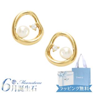 SWAROVSKI（スワロフスキー） SWAROVSKI Imber ドロップ ピアス 純正