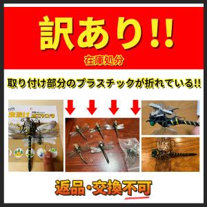 訳あり 在庫処分 返品交換不可12cm 1/1 サイズ オニヤンマ