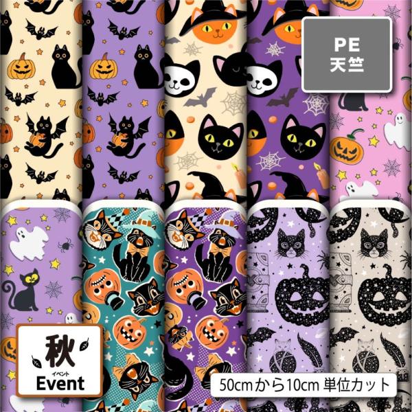 生地 布 ポリエステル天竺 黒猫 ハロウィン カボチャ柄 かわいい 商用利用可能 手芸 (fall_...
