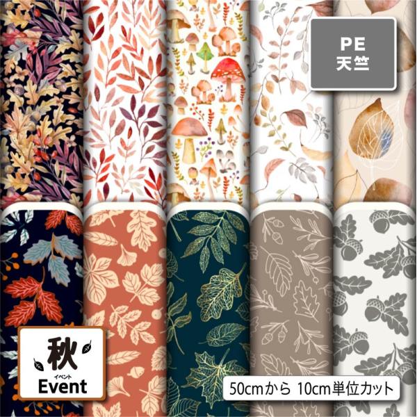 生地 布 シワになりにくい ポリエステル 天竺生地 秋柄 体操着袋 巾着袋 給食マット ランチマット...