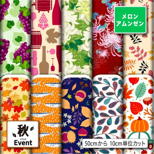 生地 布 メロンアムンゼン生地 秋柄 シワになりにくい ちりめんにはない頑丈さ 風呂敷 よさこい コ...