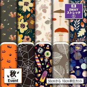 ニット生地 布 2wayストレッチ ハロウィン柄 秋柄 UVカット 犬服 レオタード 商用利用可能 手芸 (fall_1) 爆買