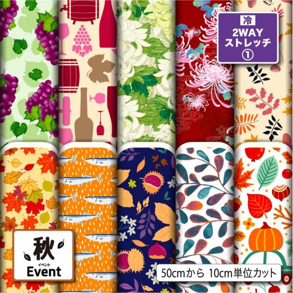 ニット生地 布 2wayストレッチ 秋柄 UVカット 犬服 レオタード 商用利用可能 手芸 (fal...