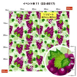ニット生地 布 2wayストレッチ 秋柄 UV...の詳細画像1