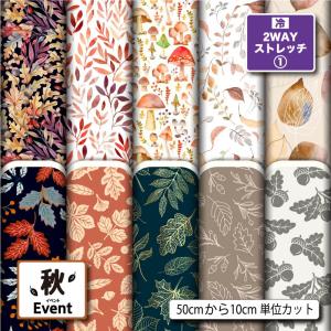 ニット生地 布 2wayストレッチ 秋柄 UVカ...の商品画像