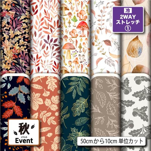 ニット生地 布 2wayストレッチ 秋柄 UVカット 犬服 レオタード 商用利用可能 手芸 (fal...