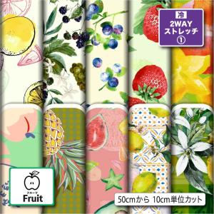 ニット生地 布 2wayストレッチ フルーツ柄 UVカット 犬服 レオタード 商用利用可能 手芸 (fruit_2) 爆買