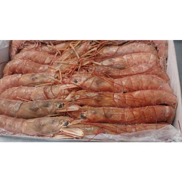 ◆底値即決訳あり特価!!大好評☆お刺身用赤エビ大サイズ　L1