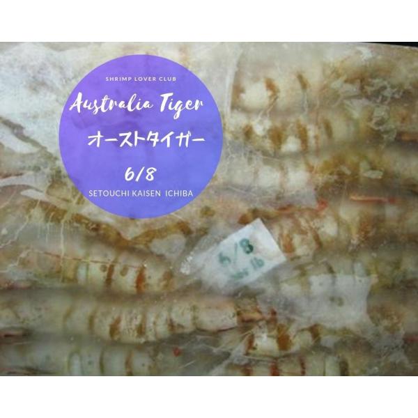 ★即決特価エビ!! 激安オースト有頭海老  ６/８  ブロック特大