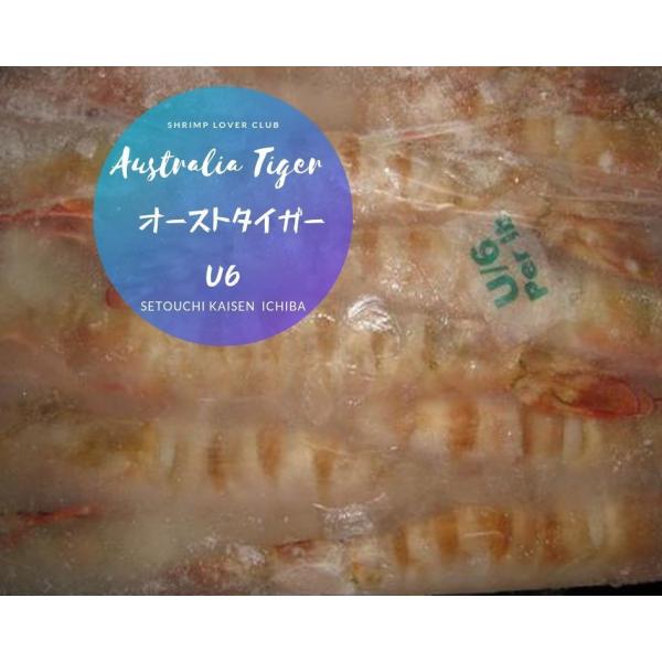 ★即決特価エビ!!激安オースト有頭アンダー６　ブロック特特大