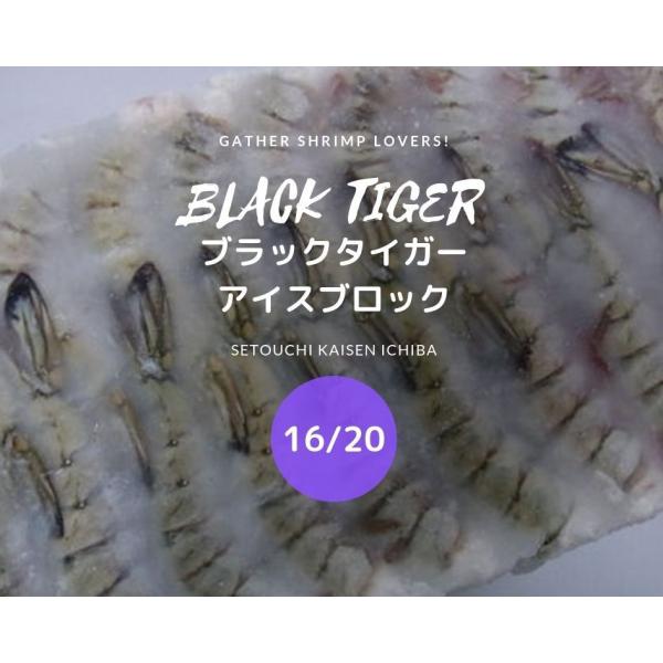 ◆即決特価エビ!!◆　激安ブラックタイガー無頭ブロック　16/20　中サイズ