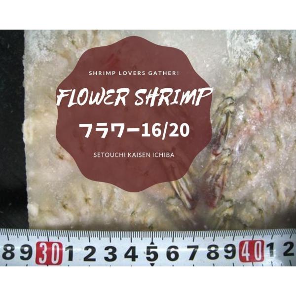 ◆即決特価!!　激安!! 無頭フラワー  16/20  大サイズ  美味〜