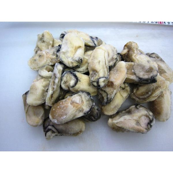 ◆大粒バラ凍結冷凍カキ　美味しい瀬戸内海産　現品限り