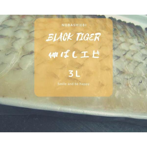◆現品限り特価エビ!!　天ぷら用伸ばし海老　ブラックタイガー３Ｌサイズ１５尾入り