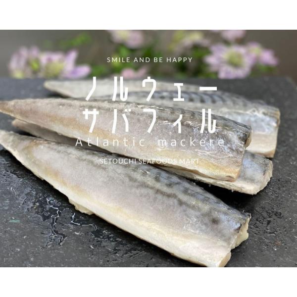 ◆即決特価!!  完全骨なしノルウェー産サバフィレ10枚セット