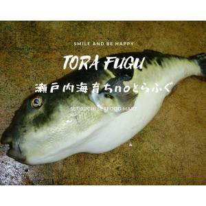 養殖 トラフグの商品一覧 通販 Yahoo ショッピング