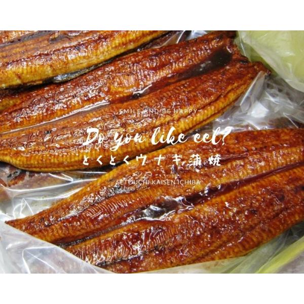 ●現品限り!激安特価!!　当社おすすめ厳選特大うなぎの蒲焼５kg入り☆