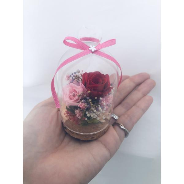 【プリザーブドフラワー赤い薔薇とかすみ草のミニガラスドームアレンジ】