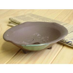 植木鉢 山草鉢 浅丸５号