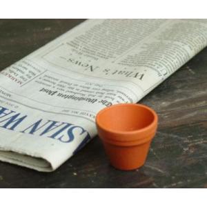 植木鉢 1.3インチ ドイツ鉢 10個入